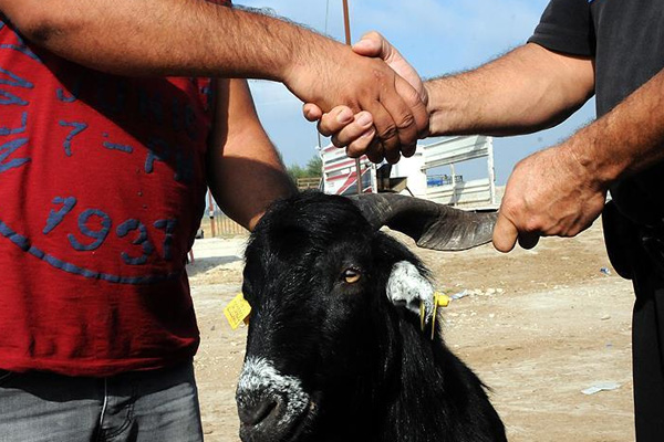 Tüketici derneklerinden vatandaşa kurbanlık uyarısı