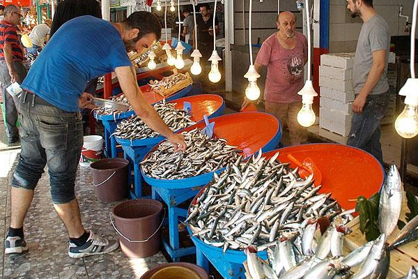 Balıkçılar 'vira bismillah' dedi tezgahlar şenlendi