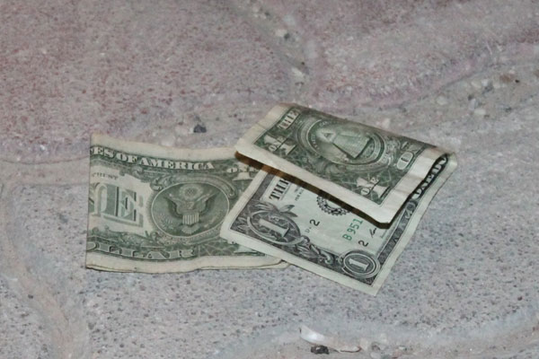 Çöpte 1 dolarlar bulundu