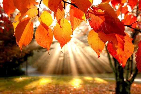 Sonbahar için 10 altın öneri