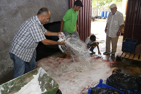 Kurban derileri için 'tuzlama' uyarısı
