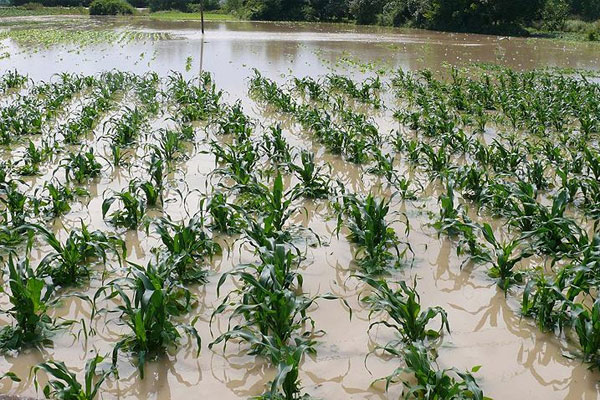 Afet mağduru üreticilerin kredi borçlarına erteleme