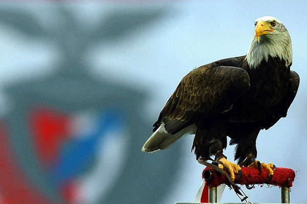 Benfica'dan Beşiktaş'a 'kartal' jesti