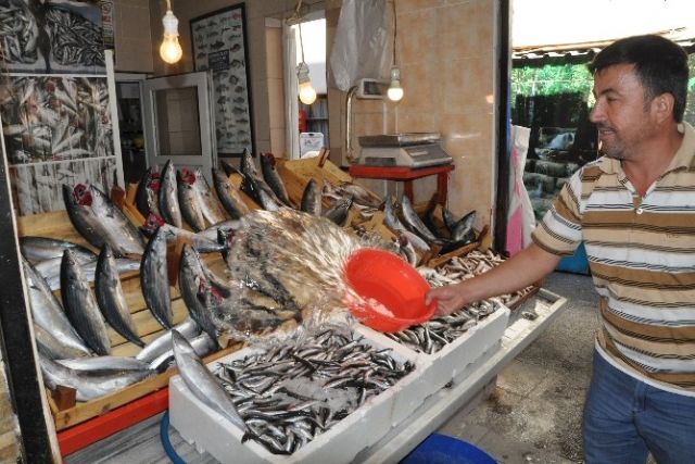 Balıkçıların yüzü güldü