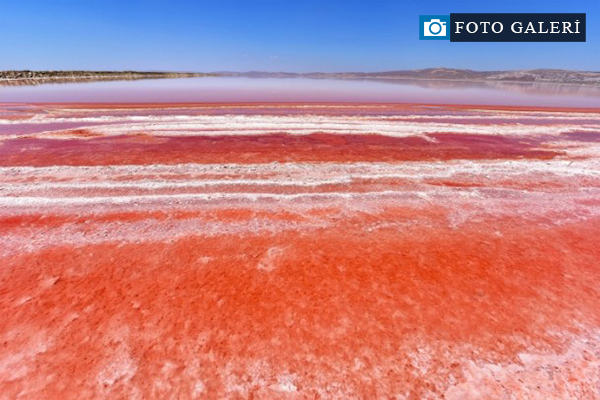 Tuz Gölü kıpkırmızı oldu