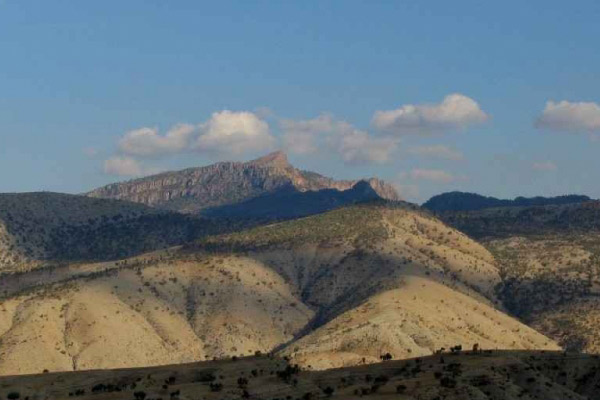 Cudi'den rahatlatan haber