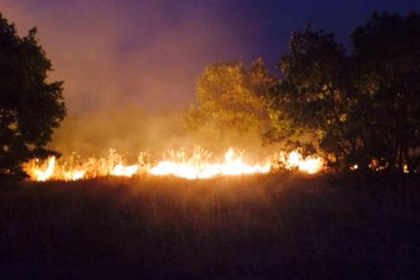 Diyarbakır ve Mersin’de 1250 hektar yandı