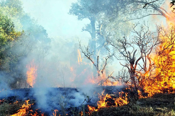 Meteoroloji bu kez yangın için uyardı