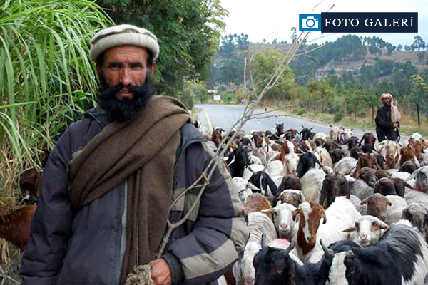 Himalaya eteklerinde binlerce Türk