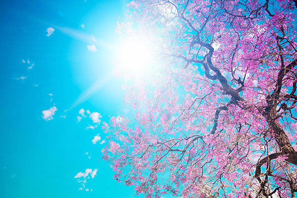 Bugün yurtta hava nasıl olacak?