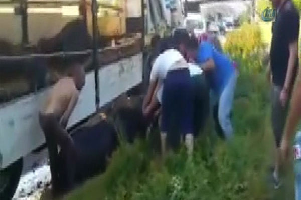 Sıcakta fenalaşan hayvanları yolda kestiler