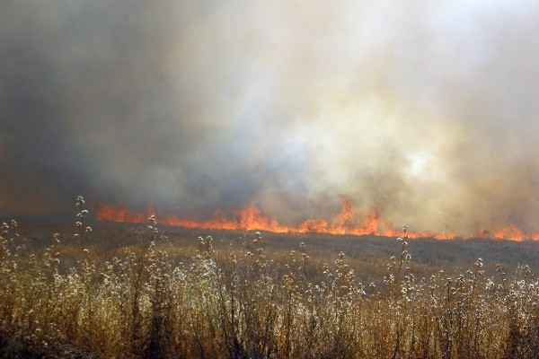 Lice’den sonra Tunceli yanıyor