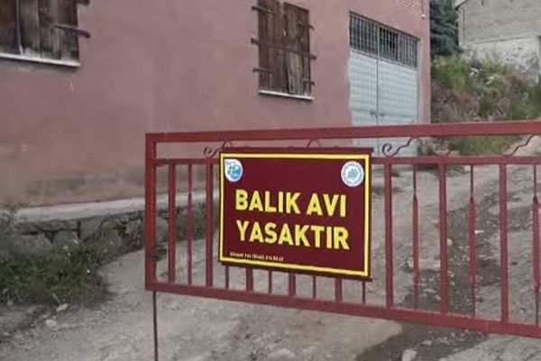 Yine Rize! Yine ilginçlik!