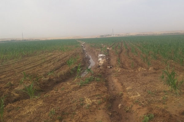 Petrol boru hattına bombalı saldırı