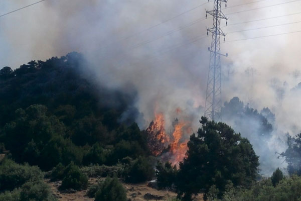 Orman yangınlarında Türkiye birinci