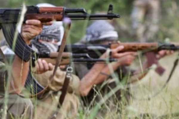 Ağrı'da hava destekli operasyon