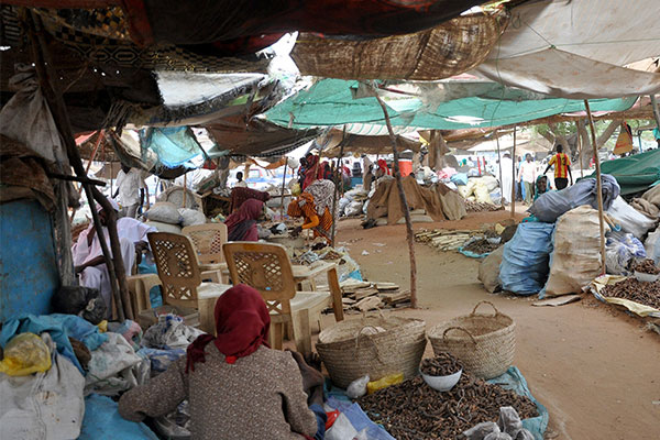 Sudan'da sıtma alarmı