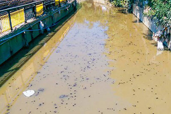 Kurbağalıdere'ye İBB el atıyor