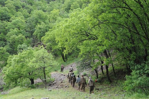 Hakkari'de bir PKK'lı teslim oldu