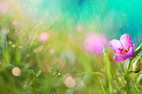 Meteoroloji'den serinleten haber