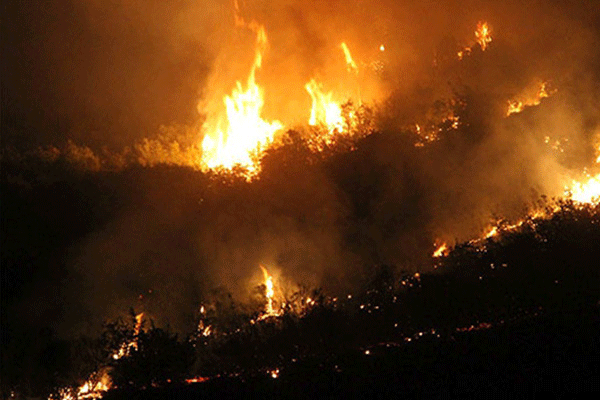 Hatay'da orman yangını