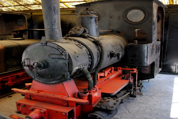 Dünyada sadece Amasya'da var