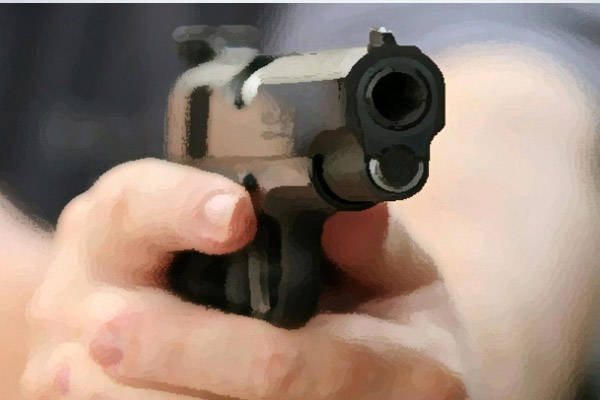 Van'da İran plakalı araca saldırı