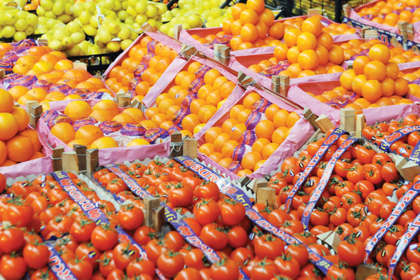 Rusya'dan sebze meyve talepleri gelmeye başladı