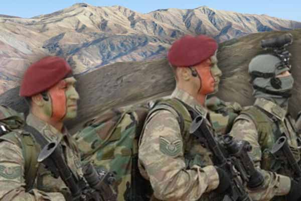 Bordo bereliler tepelere indi