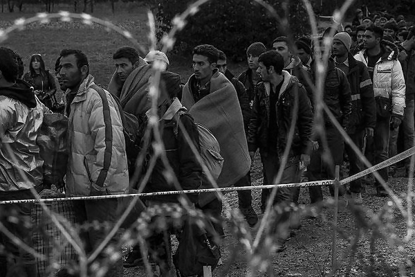 'AB, Macaristan-Sırbistan sınırına müdahale etmeli'