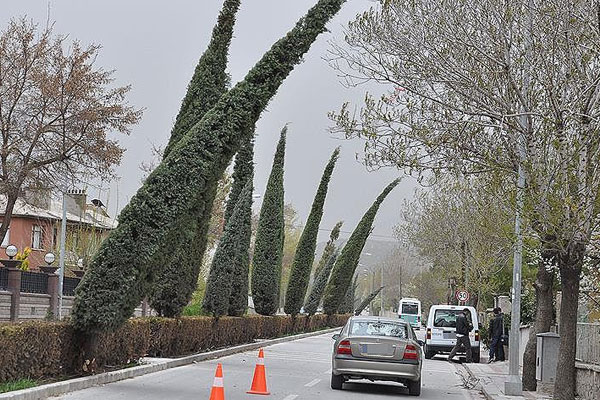 Meteoroloji'den 5 il için fırtına uyarısı