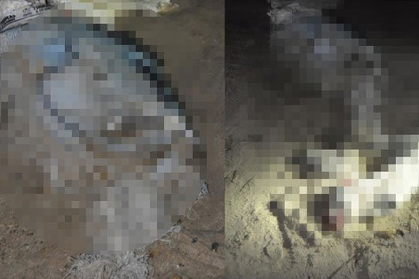 Çocuk cesedi sahile vurdu!