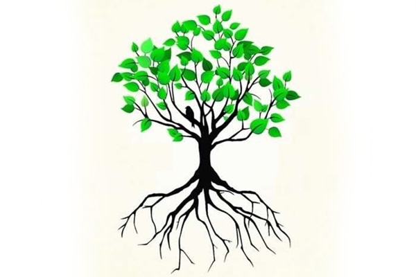 Paris İklim anlaşması 4 Kasım'da yürürlüğe giriyor