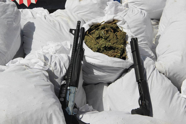 50 ayrı operasyonda 1 ton 325 kilo esrar yakalandı