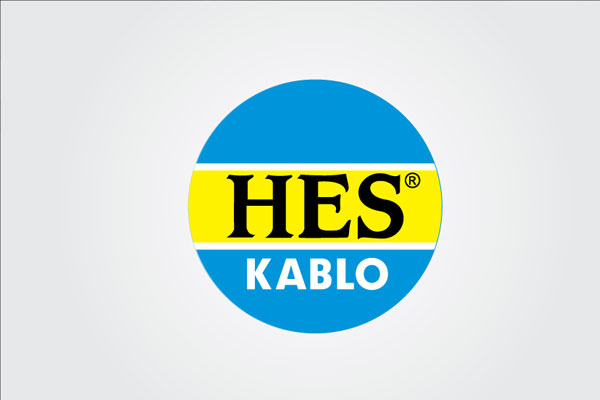 HES Kablo, TMSF'ye devredildi