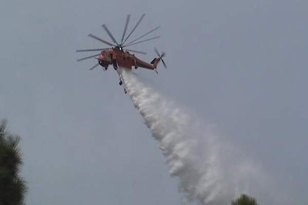 Aydos Ormanı’nda yangın paniği