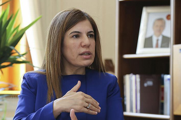 Ortadoğu ve Körfez ülkelerinden gelen gazetecilere 15 Temmuz anlatıldı