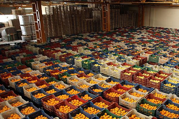 Rusya Türk ürünleri ile enflasyonu düşürmek istiyor