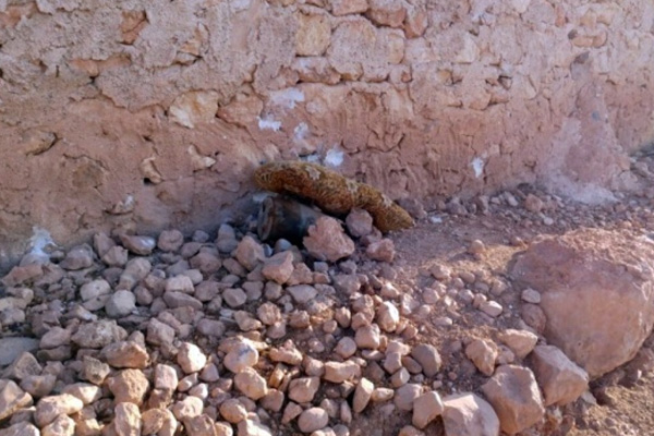 TSK, ele geçirilen patlayıcıların görüntülerini paylaştı