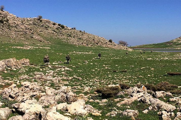 Siirt'te 3 PKK'lı öldürüldü