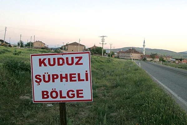 Bursa'da kuduz paniği