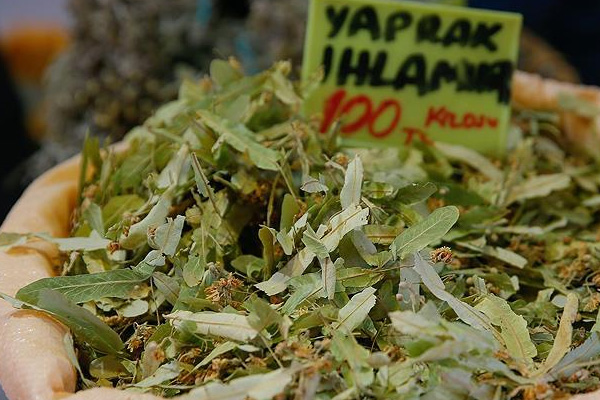 Ihlamur fiyatı düşüyor