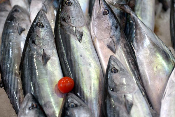Hava şartları balık fiyatlarını yükseltti
