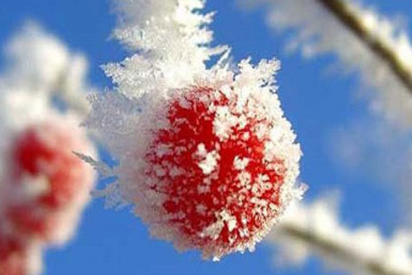 Meteorolojiden don uyarısı