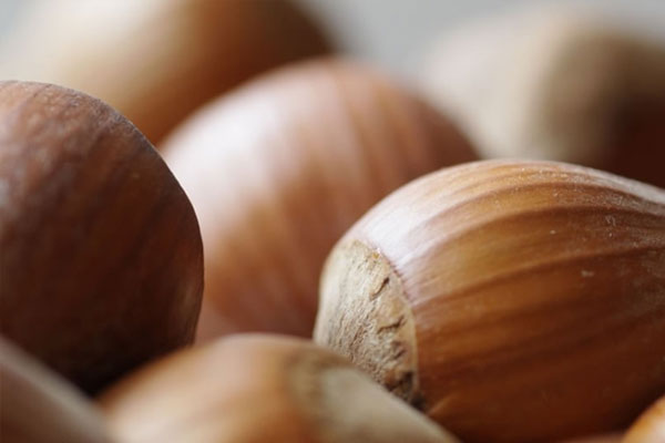 'İtalya Türk fındığını itibarsızlaştırmak istiyor'