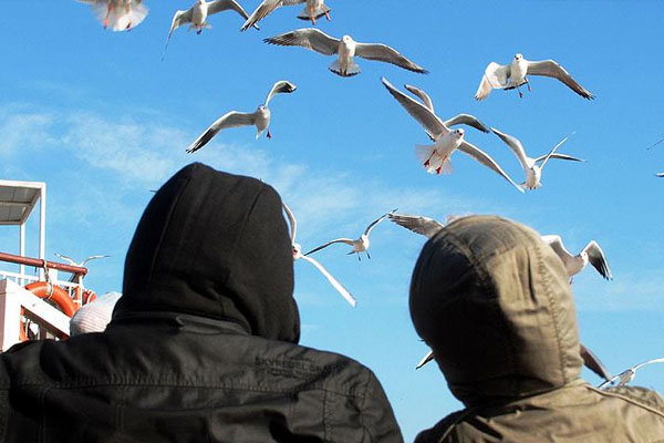 Martıya simit atarken denize düştü