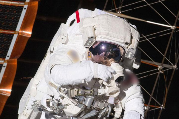 Çin uzayda ipek böceği yetiştiriyor