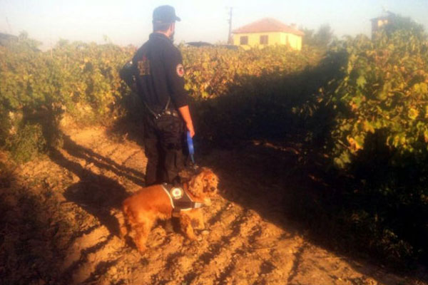 Minik Irmak’ın katil zanlısı tutuklandı