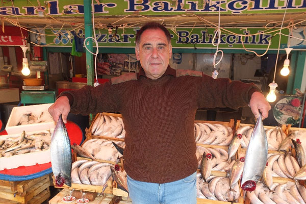 Marmara’da palamut bolluğu