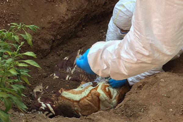 Mardin'de gömülü halde 2 ceset bulundu